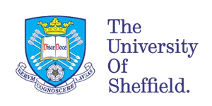 sheffed university